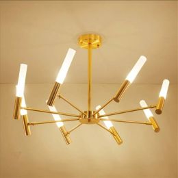 Modern Simple Gold Living Room LED Ceiling Lights American Style Personality Designer Restaurant Bedroom Home Decor Lamps