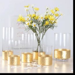 Glass Vase Gold Transparent Straight Vase Home Decoration Gold Foil Flower Arrangement Rose Lily