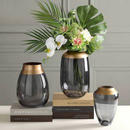 Light Luxury Glass Vase Hydroponic Transparent Flower Arrangement Decoration Living Room Table Decoration Vase Decoration