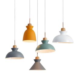 Modern simple LED Pendant light metal lampshade  E27 lamp holder nodric livingroom diningroom restaurant store hang lamp