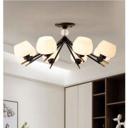 Nordic Living Room ceiling lamp black Dining Room lights Vintage Household Iron Glass Shade  Lustre modern e27 led Lamps