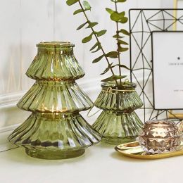 Nordic Simple Glass Vase Creative Home Garden Decoration Decorative Glass Vase Vase Classic